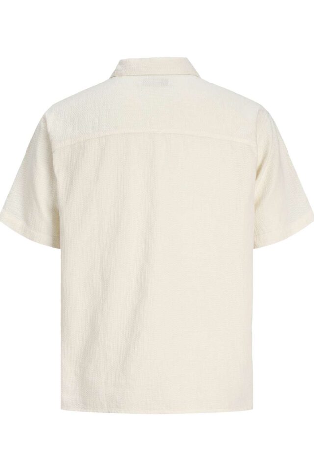 Springsummer_5019944_12293555_2-jackjones