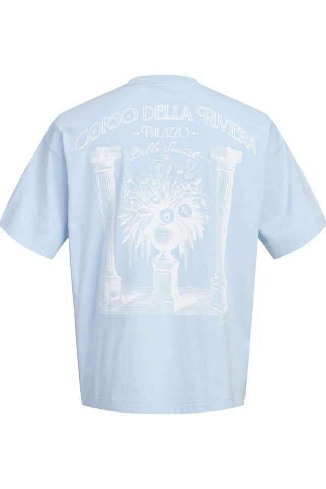 Springsummer_5076166_12303536_2-jackjones